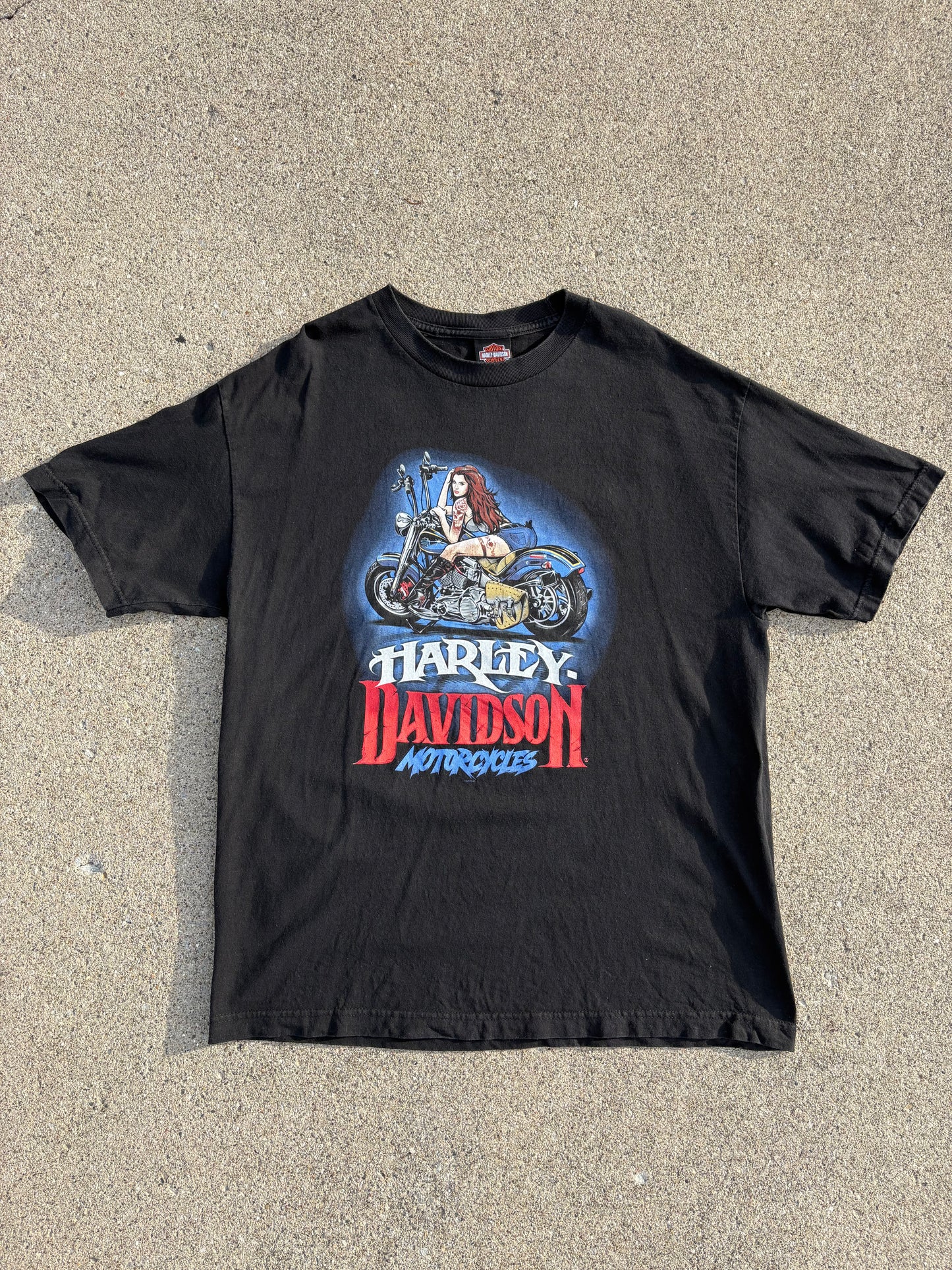 XL 00s Harley-Davidson PG