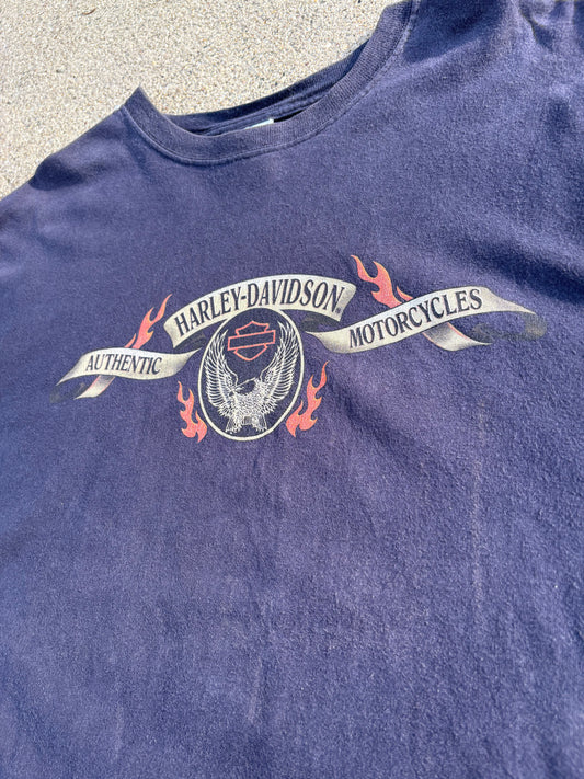 XL 07 Harley-Davidson BW