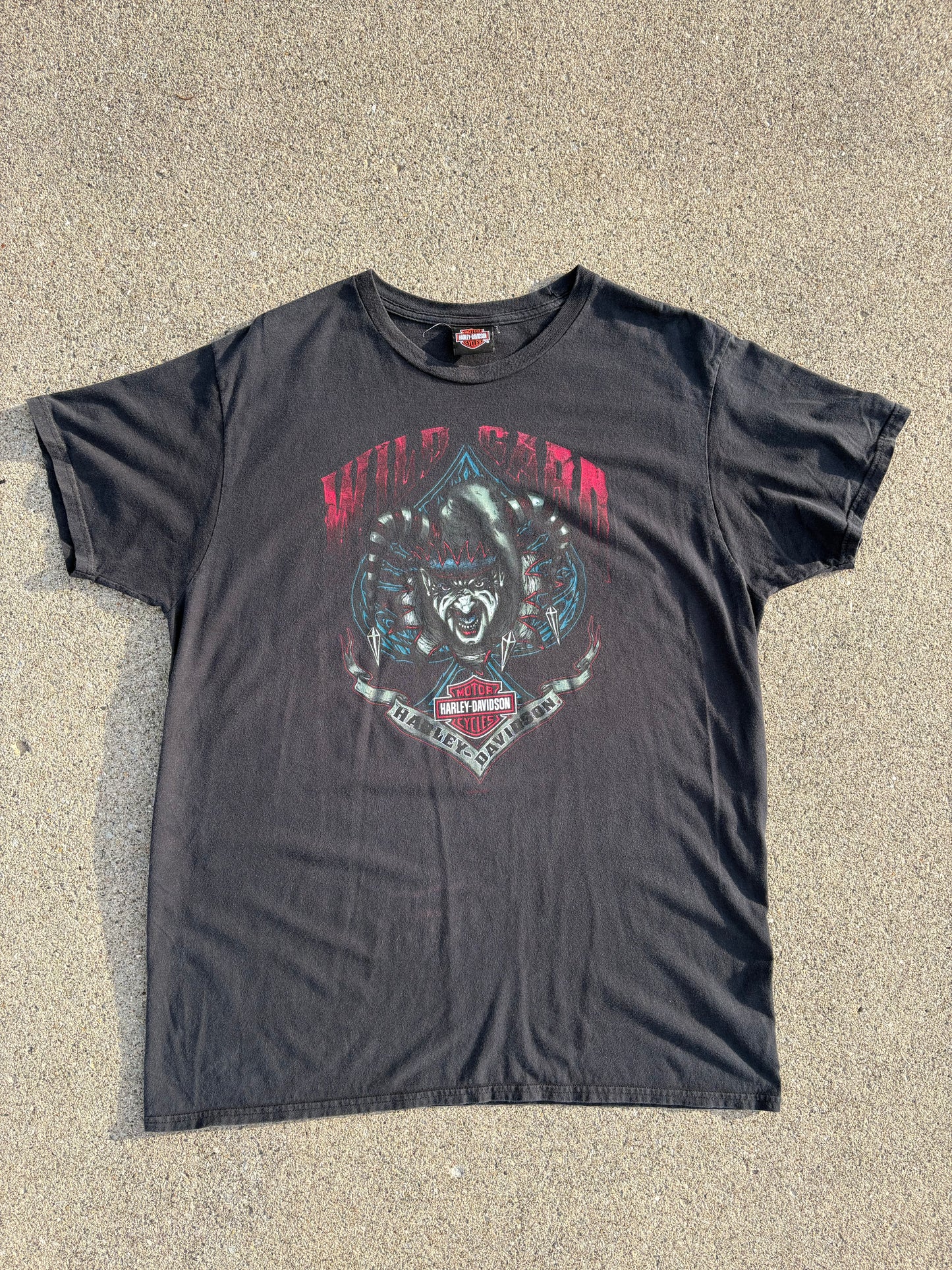 XL 00 Harley-Davidson JST