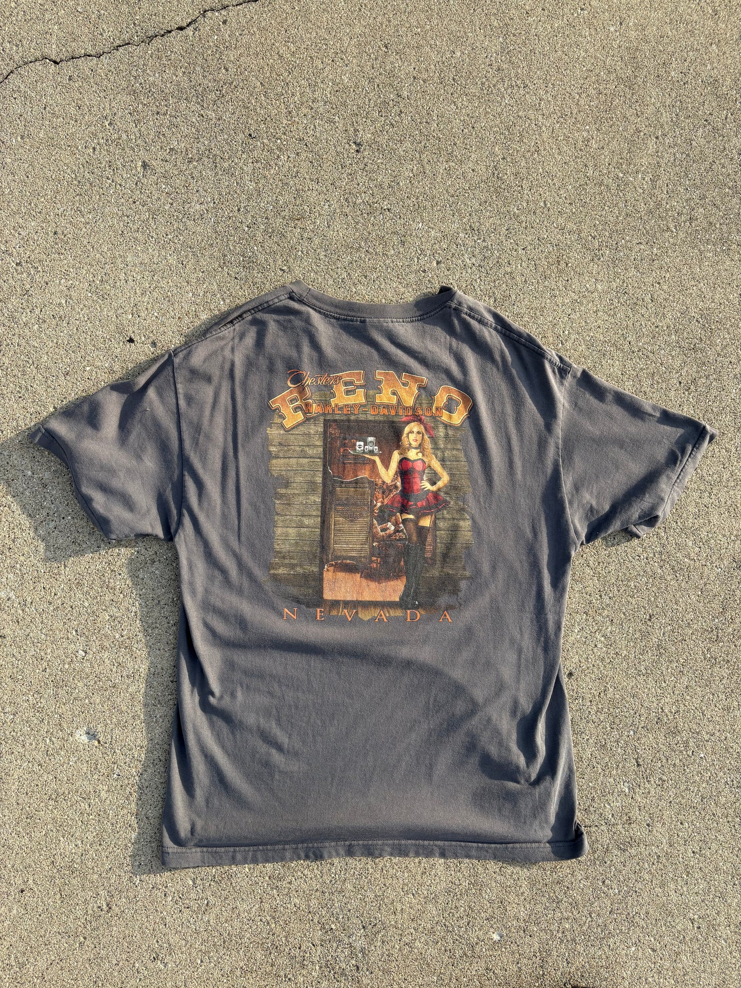 XL 00 Harley-Davidson SW