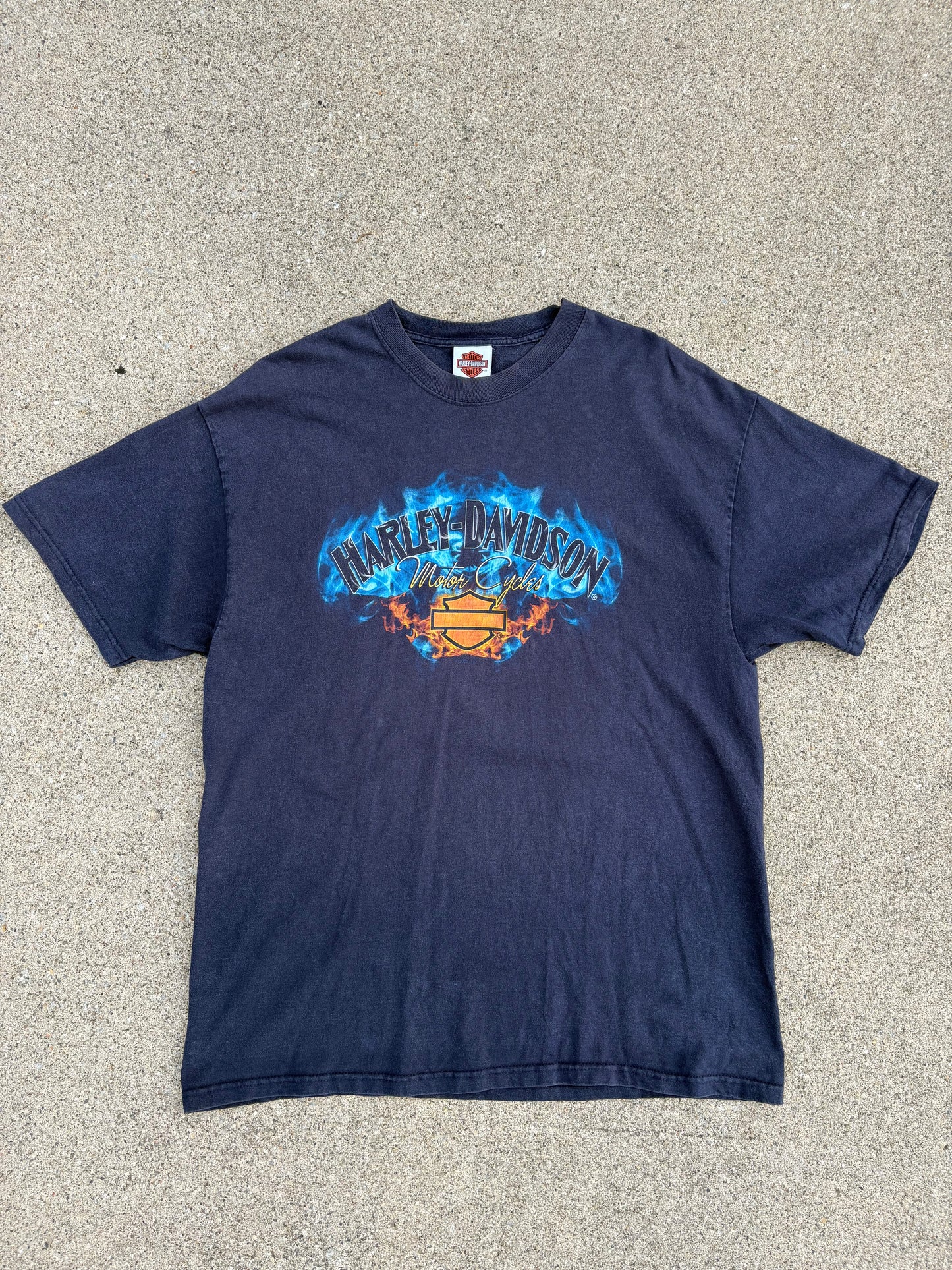 XL 06 Harley-Davidson BF