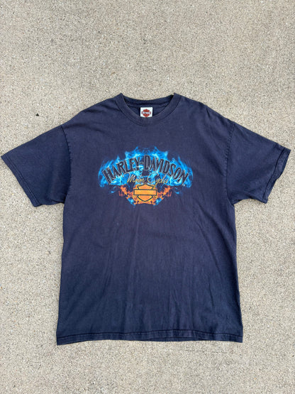 XL 06 Harley-Davidson BF