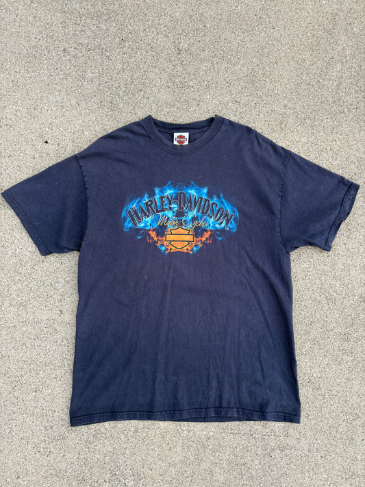 XL 06 Harley-Davidson BF
