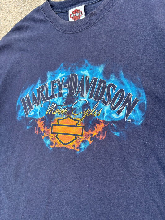XL 06 Harley-Davidson BF