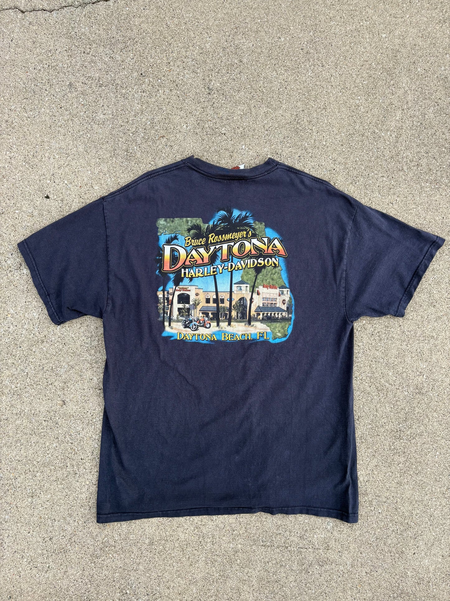 XL 06 Harley-Davidson BF