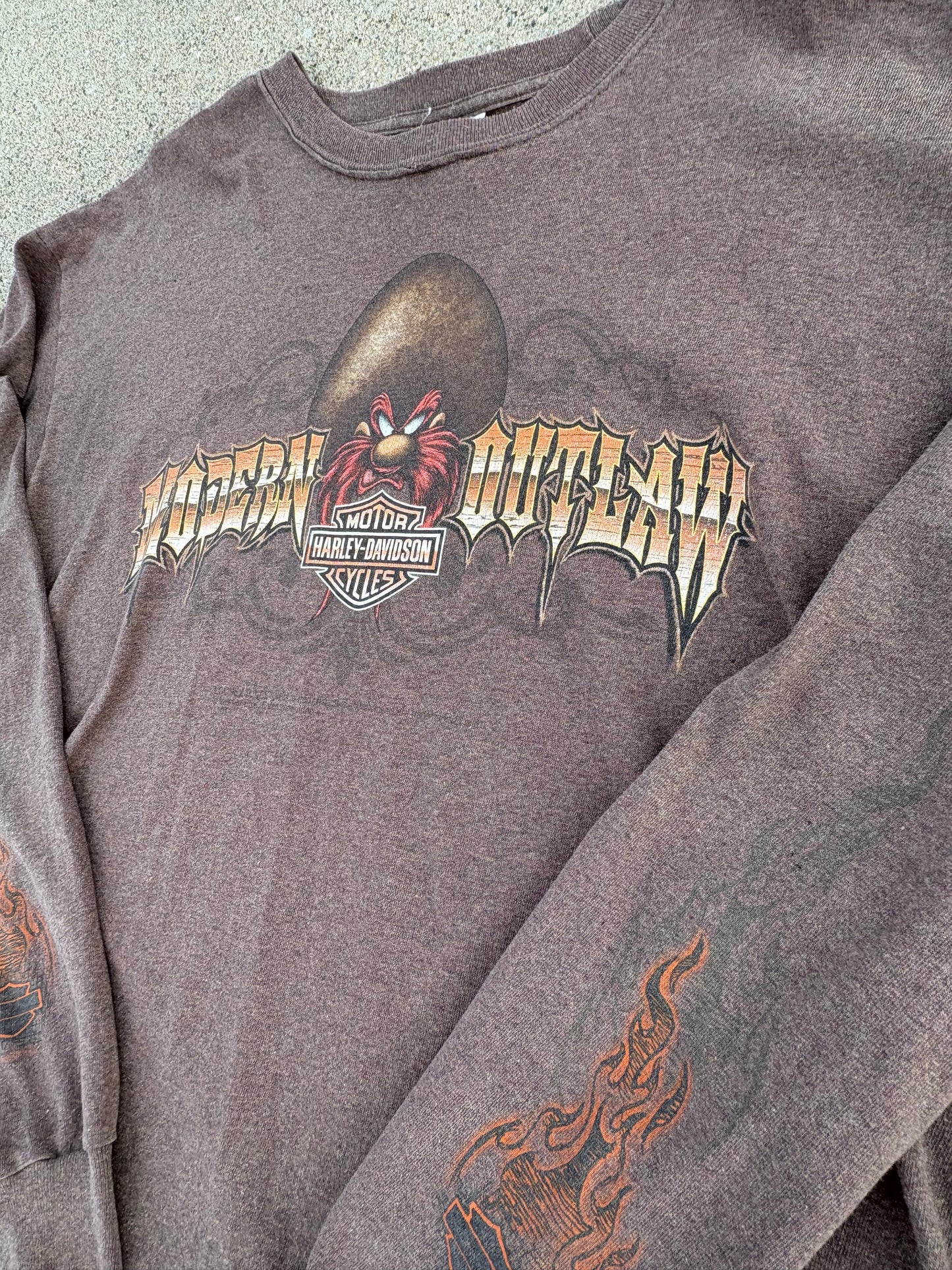 XL 96 Harley-Davidson Looney