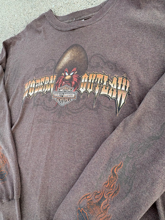 XL 96 Harley-Davidson Looney