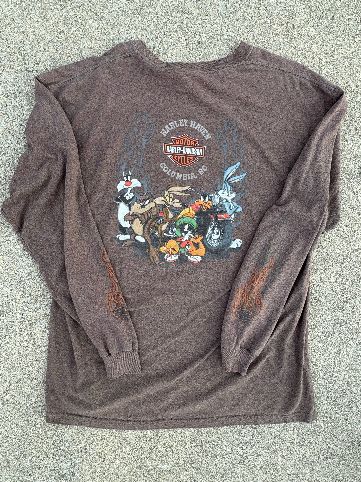 XL 96 Harley-Davidson Looney