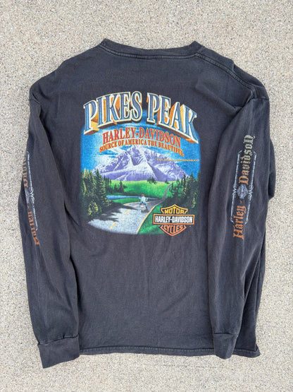 00 Harley-Davidson PEAK